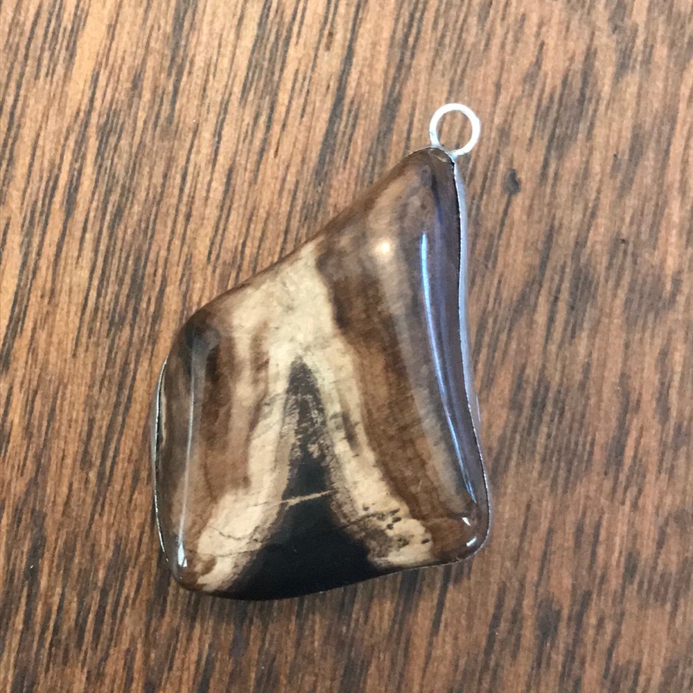 Handmade petrified wood pendant ✨